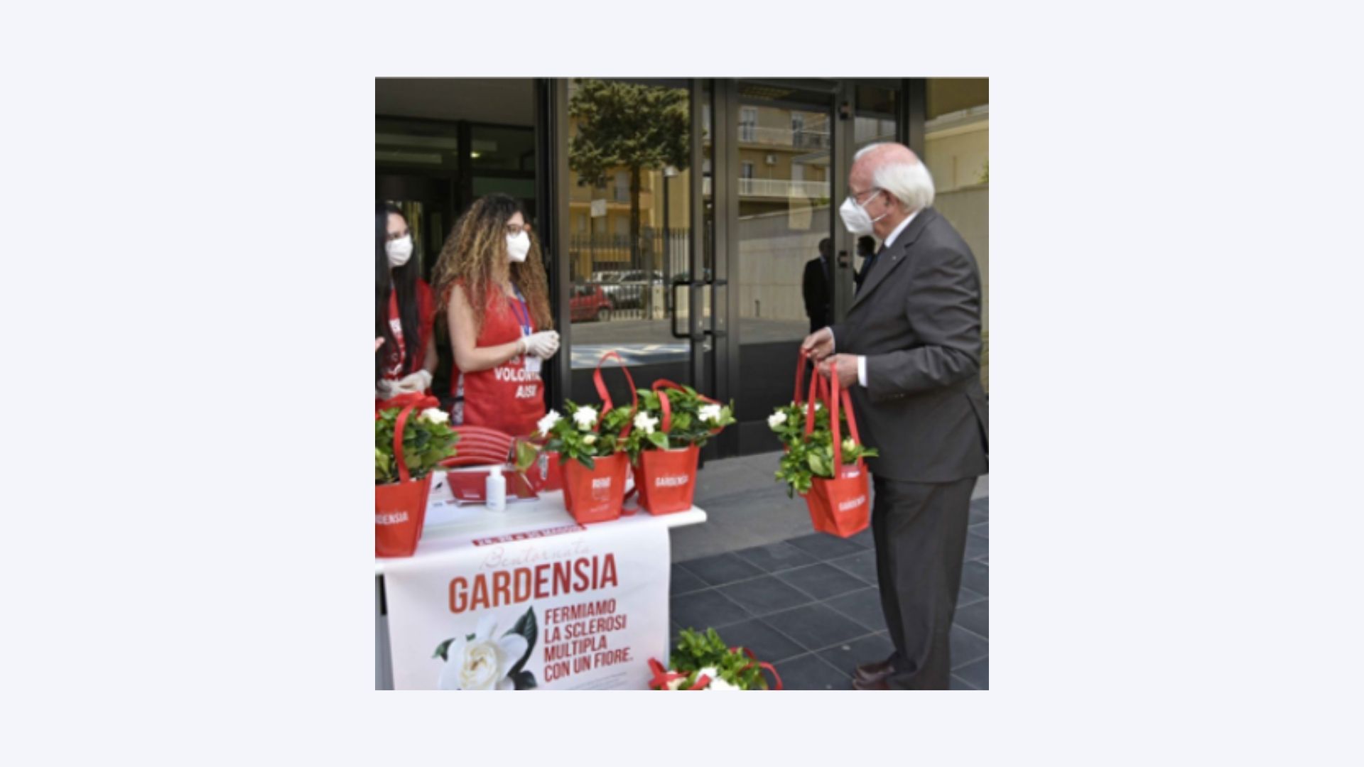 vendita gardenie